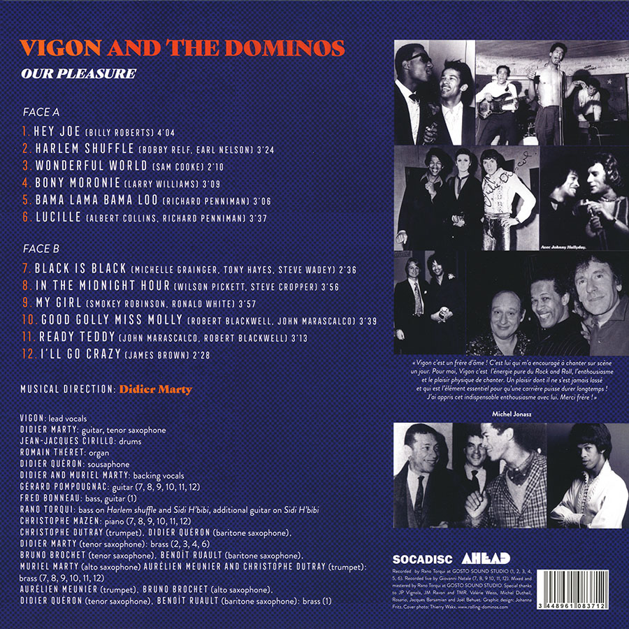 vigon and the dominos lp our pleasure back